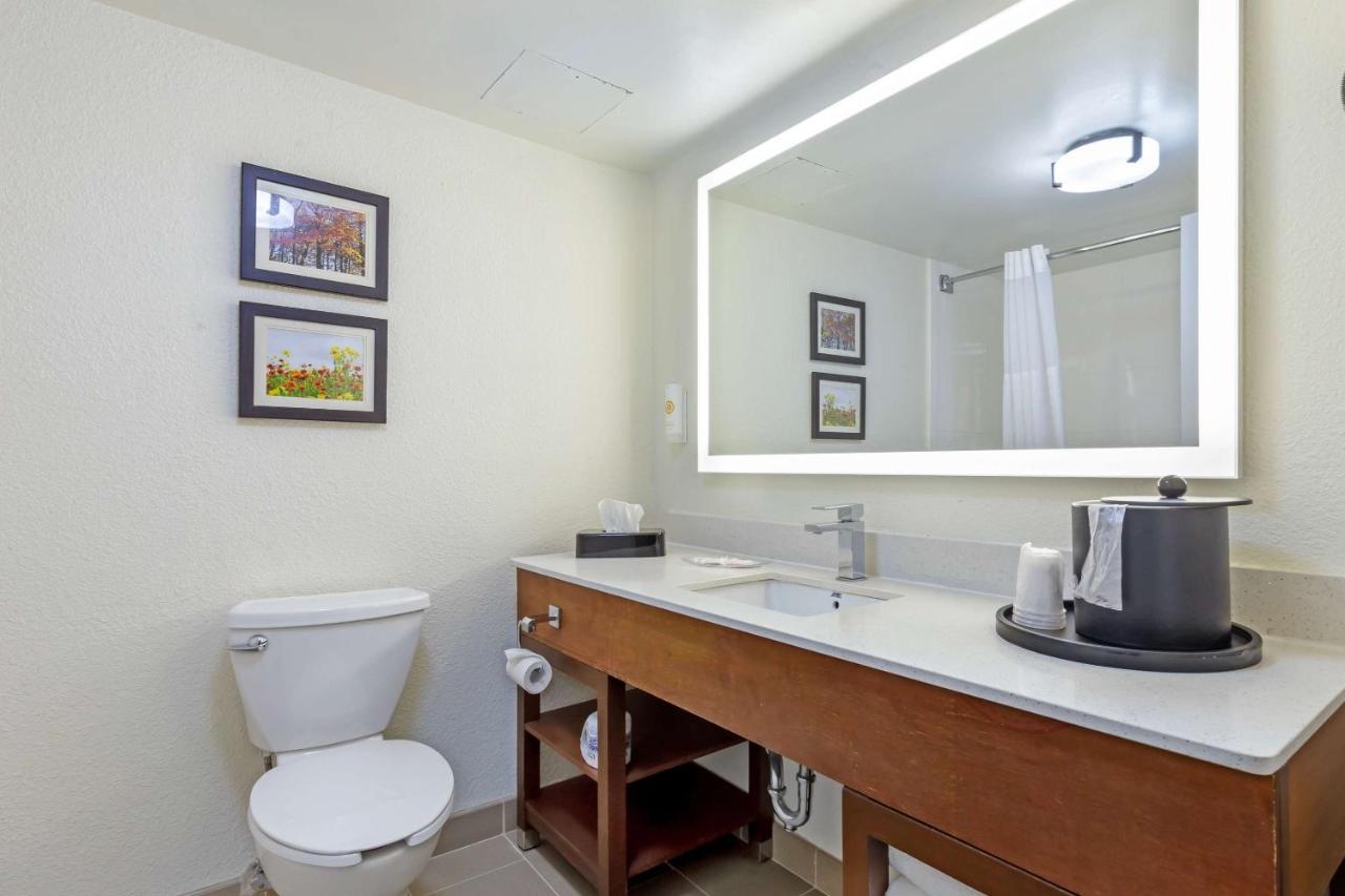 Superior King Suite - Non-Smoking at Comfort Suites Hanes Mall