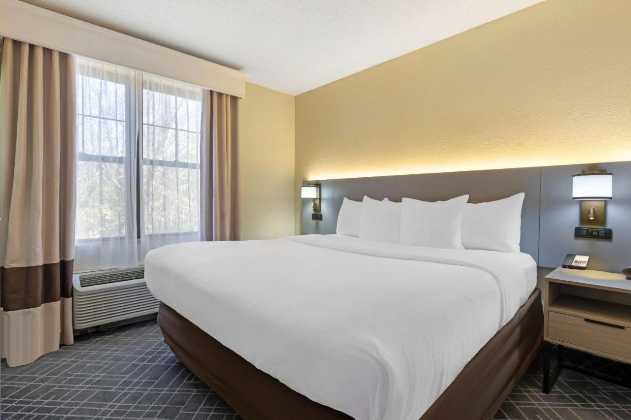 Superior King Suite - Non-Smoking at Comfort Suites Hanes Mall