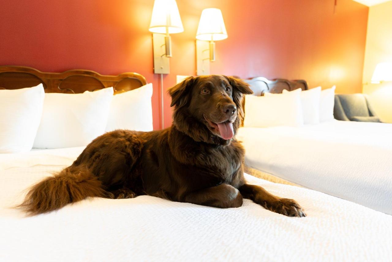 | Fireside Inn & Suites Gilford