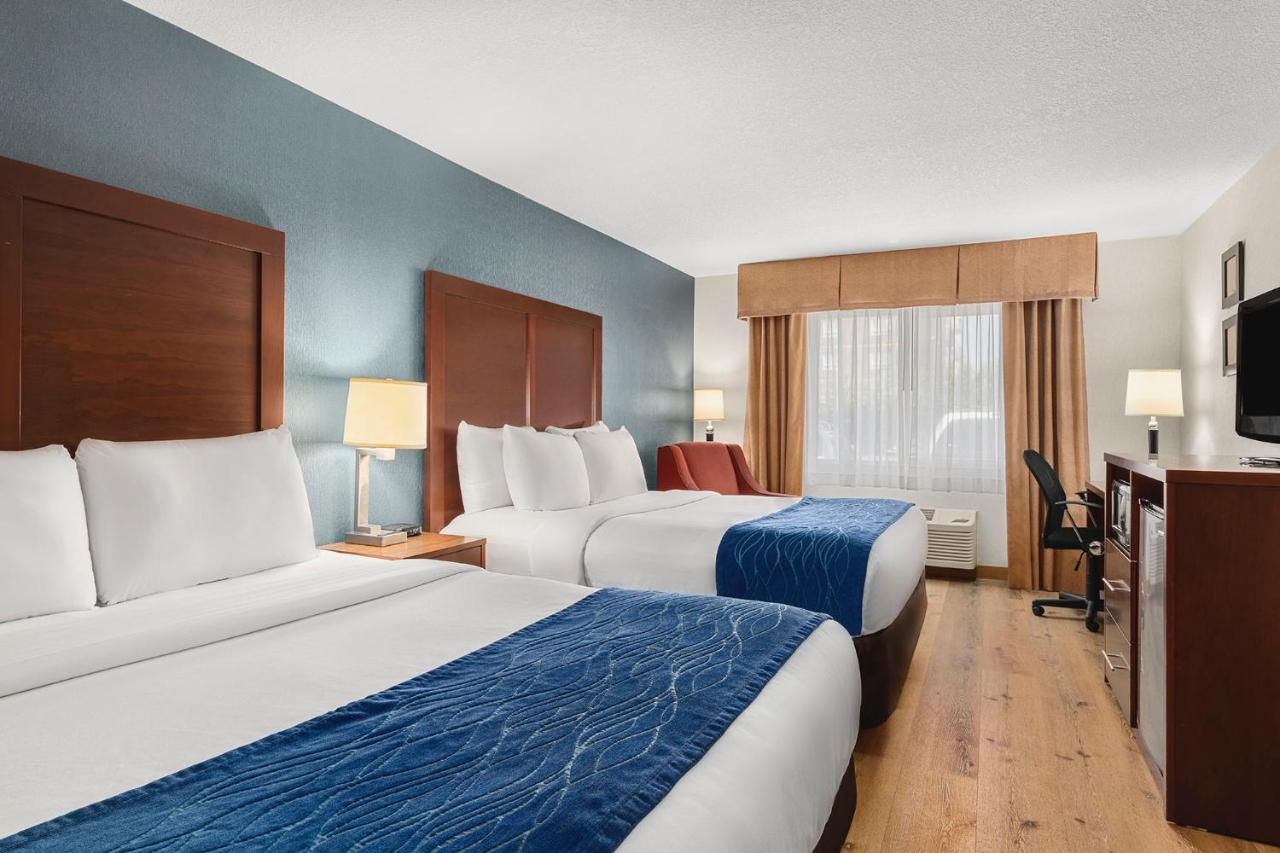 Queen Room with Two Queen Beds - Accessible/Non-Smoking at Comfort Inn & Suites Vancouver Downtown City Center