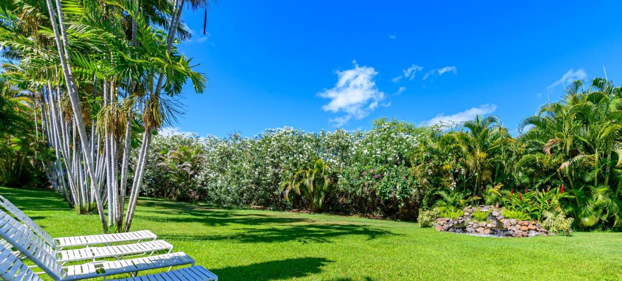 | Castle Maui Banyan
