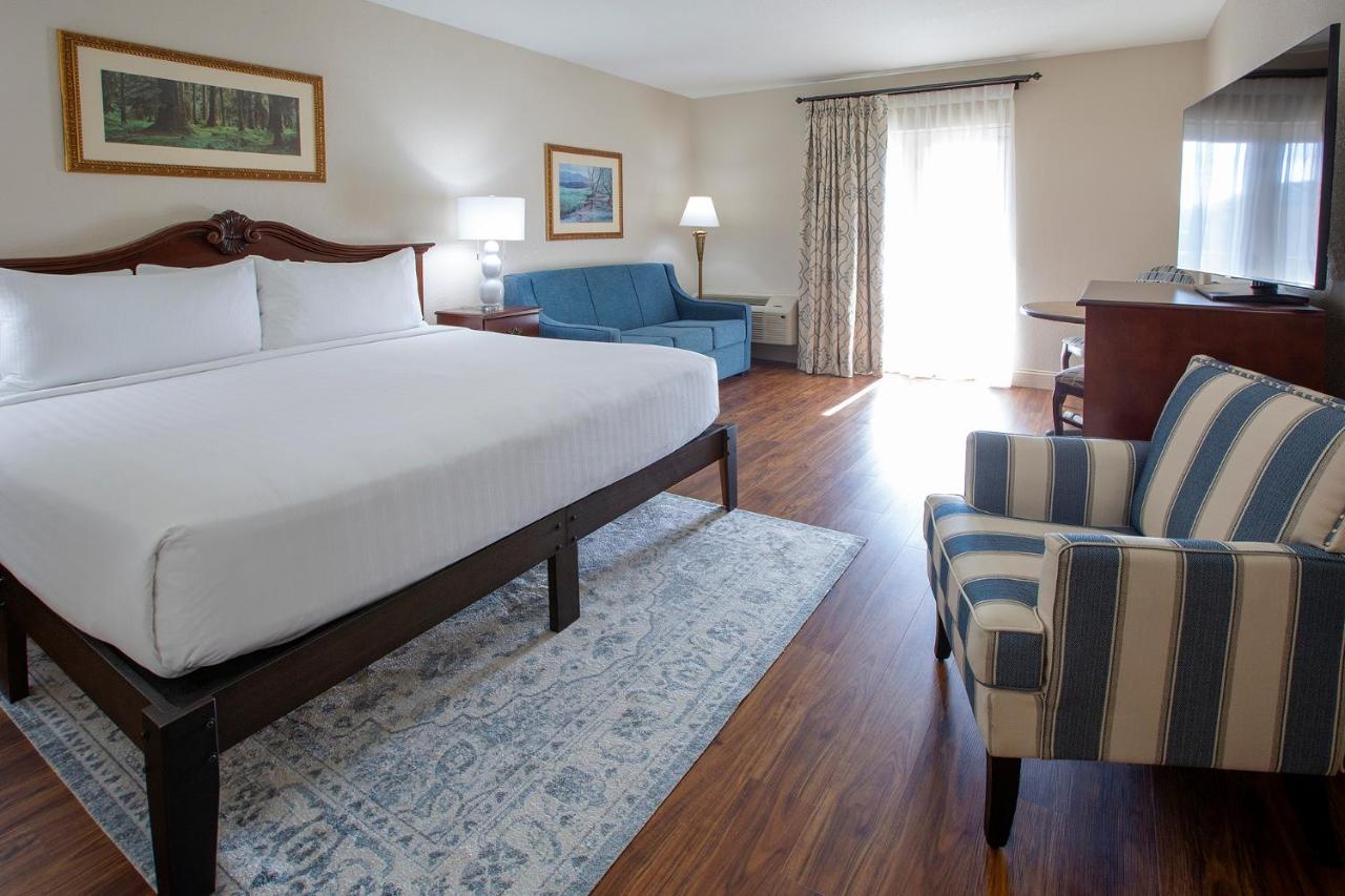 Superior King with Mountain and Water Park View - Inn at Music Road Resort Hotel and Inn