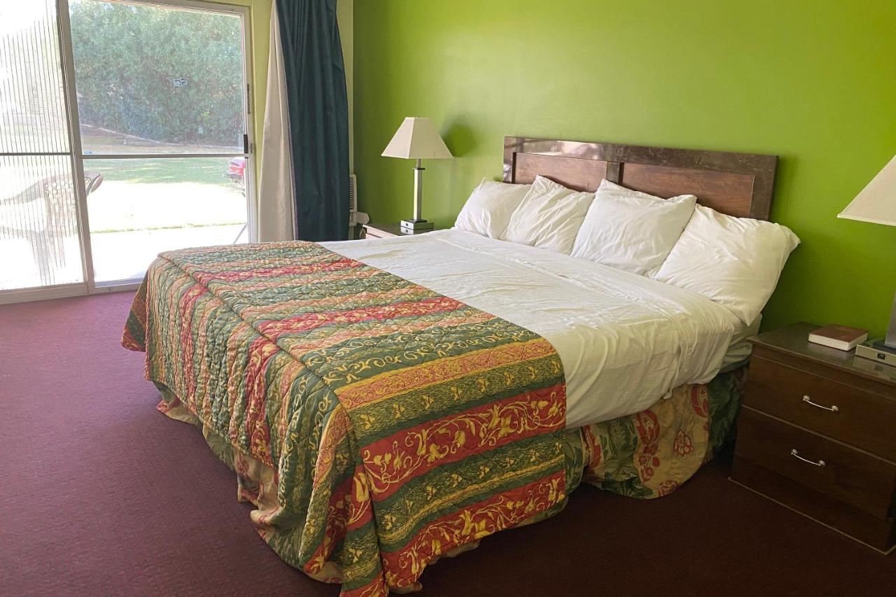 King Room at OYO Hotel Yuma AZ Desert Grove