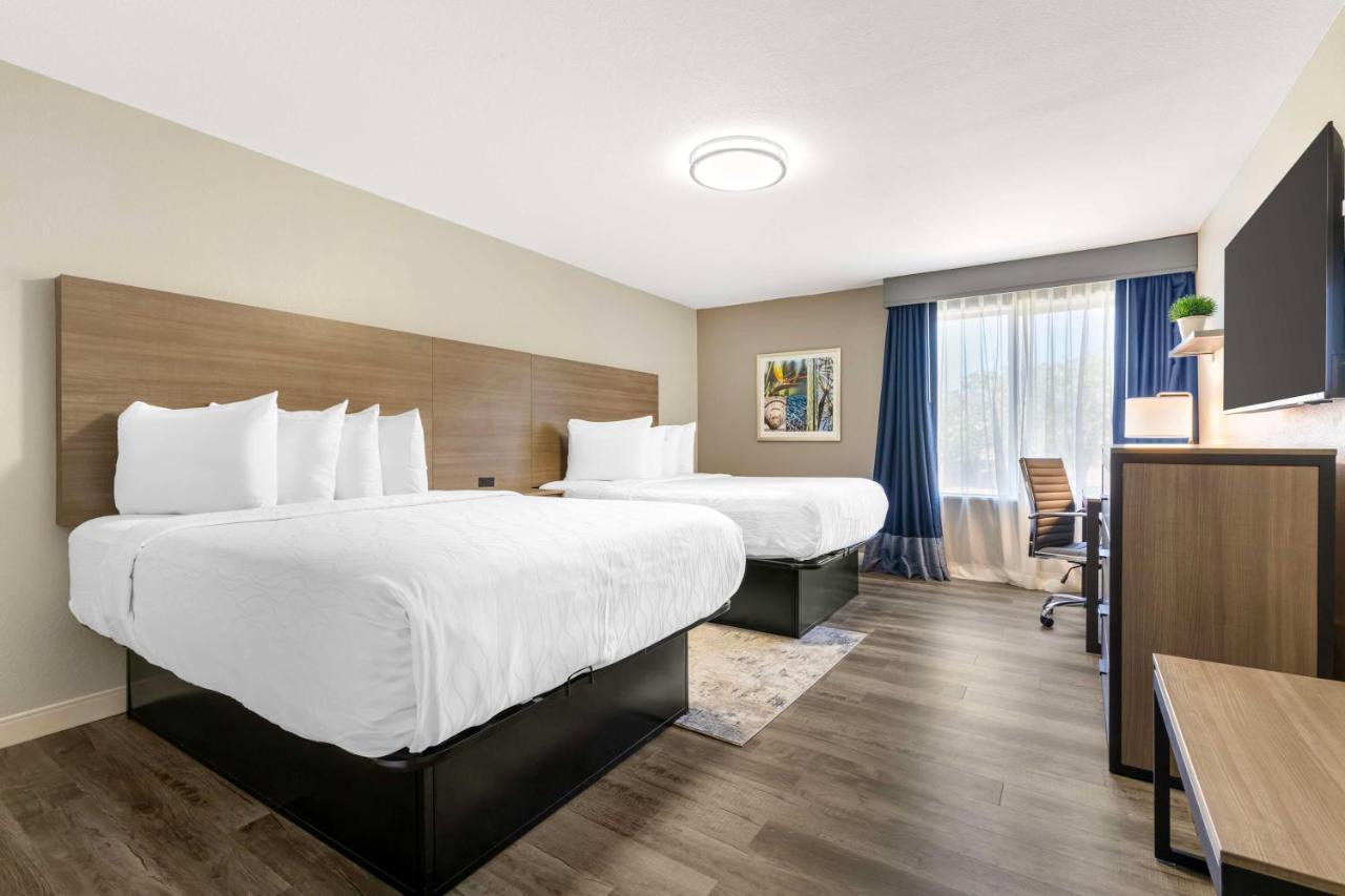 Two-Bedroom Suite at Best Western Plus Lewisville Flower Mound