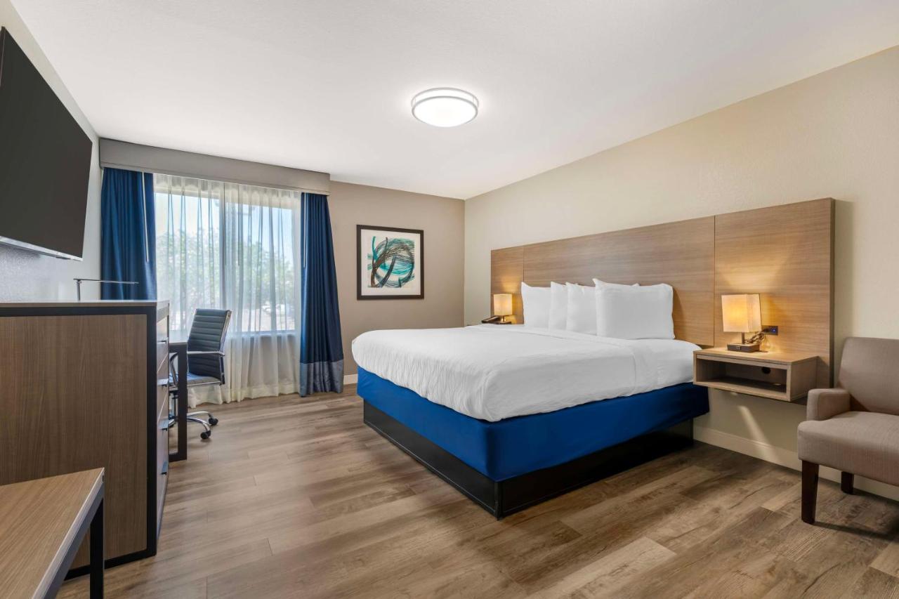| Best Western Plus Lewisville Flower Mound