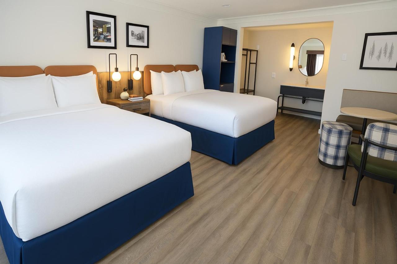 | The Woodrose- NEWLY RENOVATED