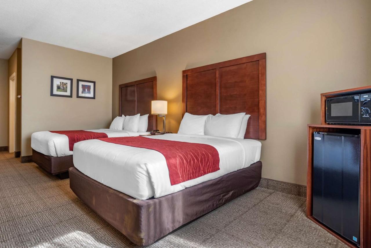 | Comfort Inn Amite