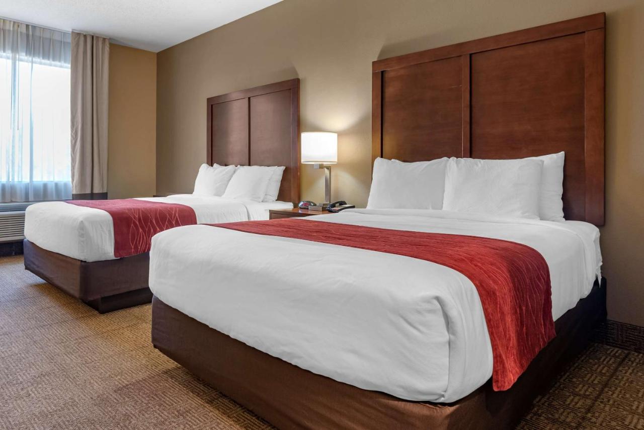 | Comfort Inn Amite