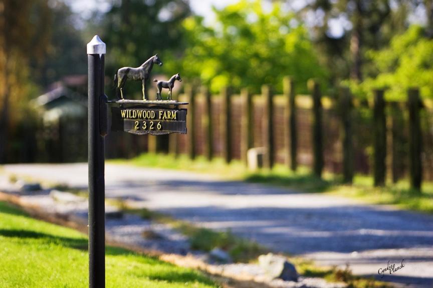 | Wildwood Farm Bed & Breakfast