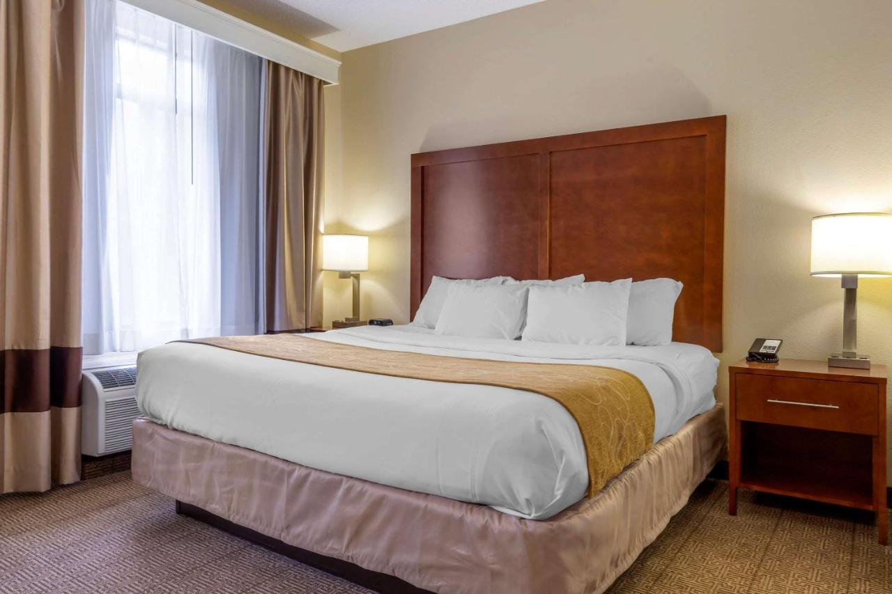 Superior King Suite - Non-Smoking at Comfort Suites Boone - University Area