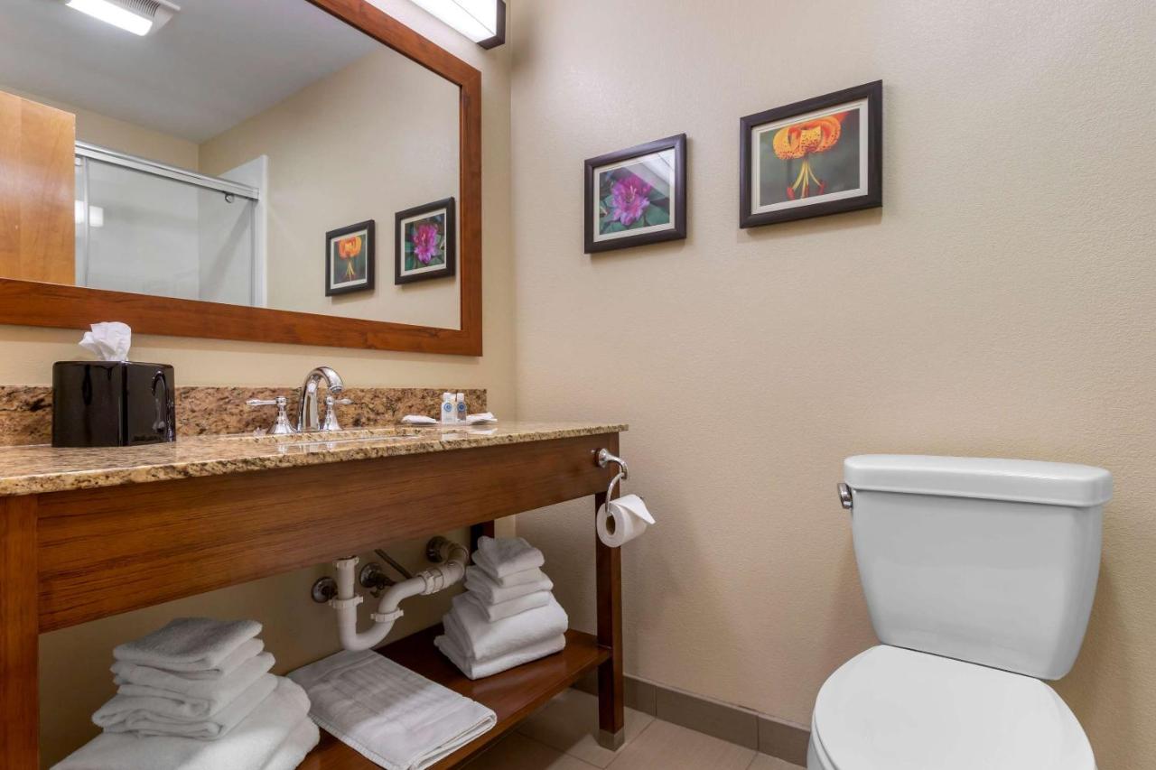 Superior King Suite - Non-Smoking at Comfort Suites Boone - University Area