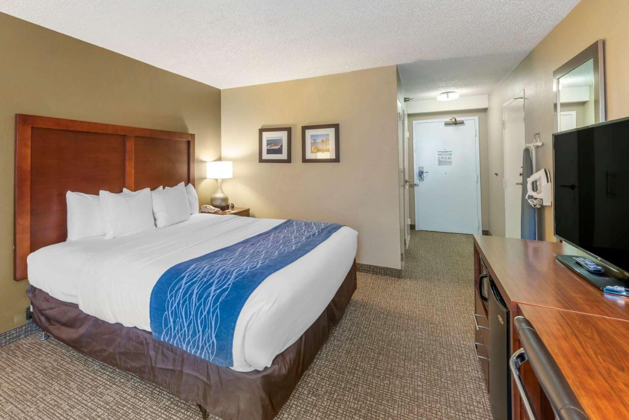 King Room with Roll-In Shower - Accessible/Non-Smoking at Comfort Inn Elizabeth City near University