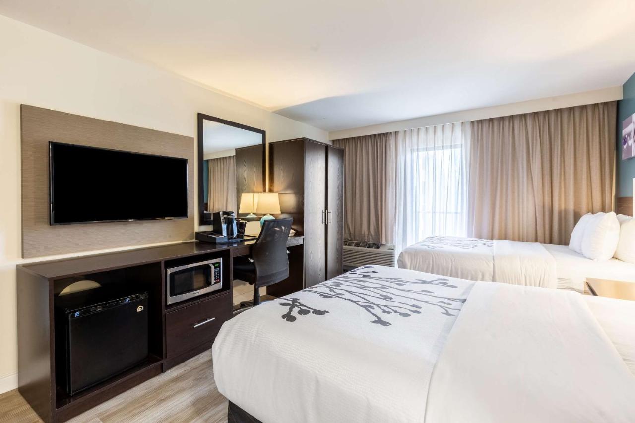 Standard Room with Two Double Beds and Boulevard View - Non-Smoking at Sleep Inn Orange Beach