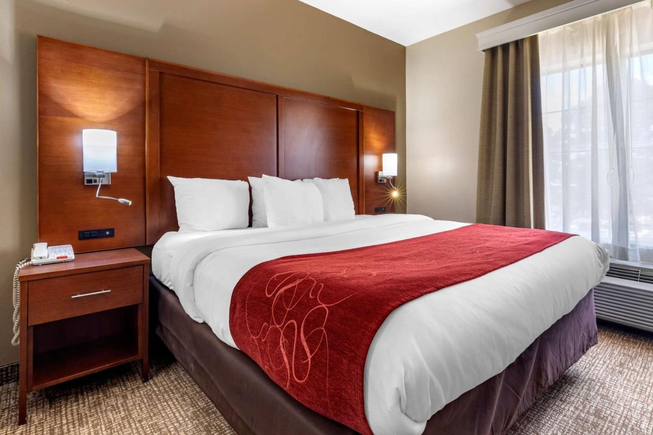 King Suite - Disability Access/Non-Smoking at Comfort Suites Shreveport West I-20