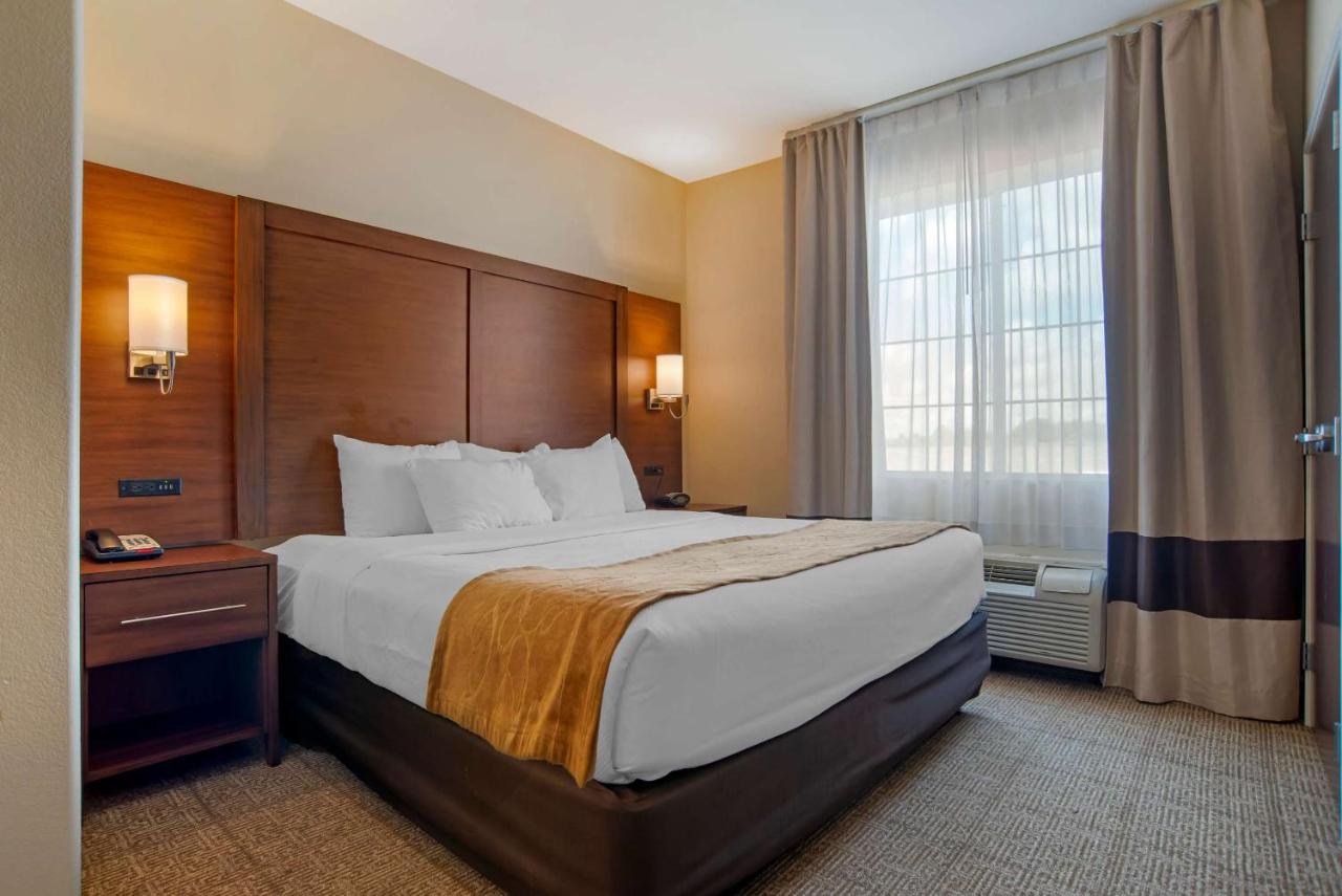 King Suite Ground Level - Non Smoking at Comfort Suites Alexandria North