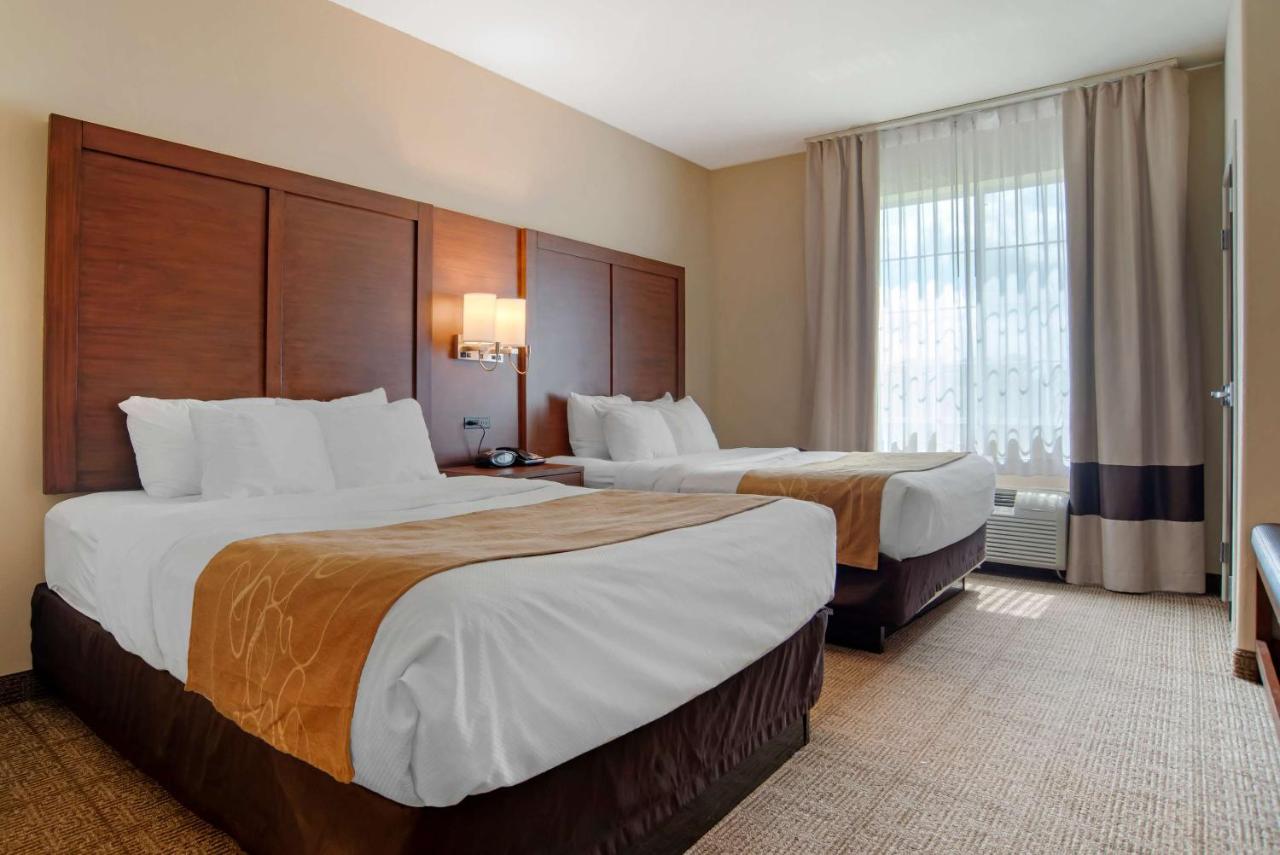 Queen Suite - Non-Smoking at Comfort Suites Alexandria North
