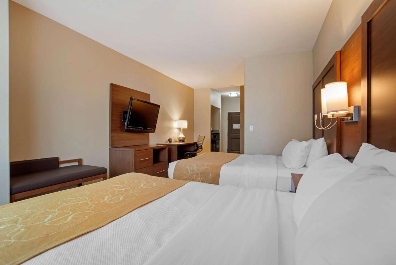 Queen Suite - Non-Smoking at Comfort Suites Alexandria North