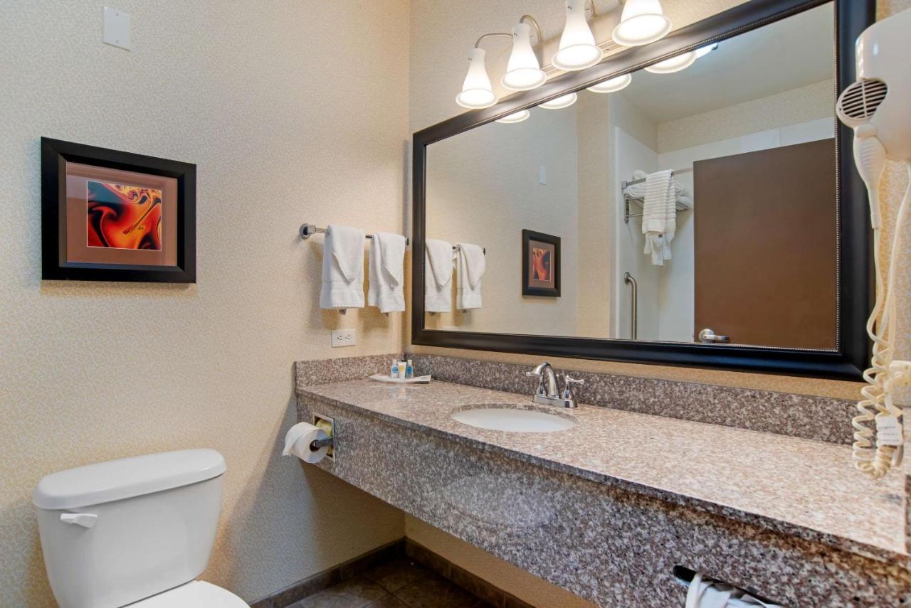 King Suite Ground Level - Non Smoking at Comfort Suites Alexandria North