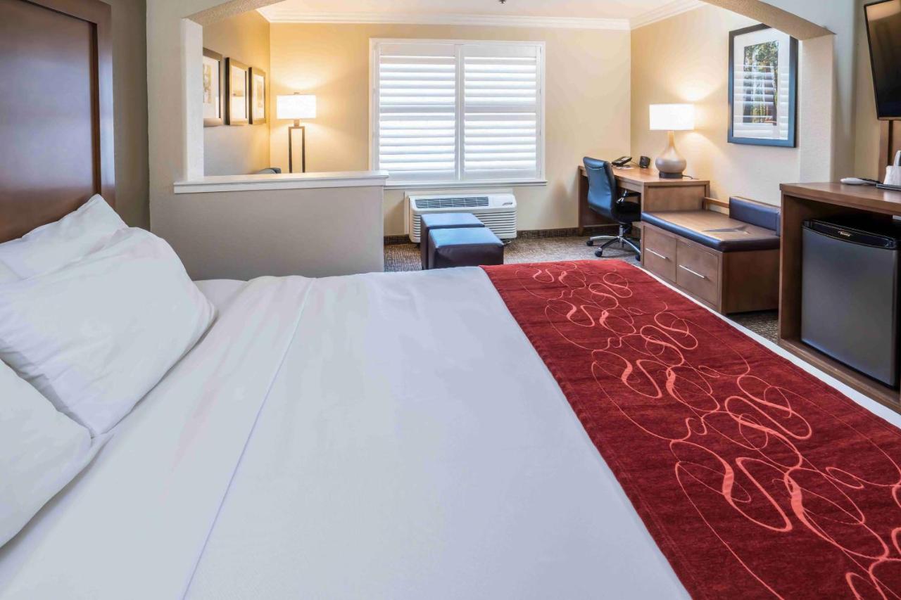 King Suite at Comfort Suites Fresno River Park