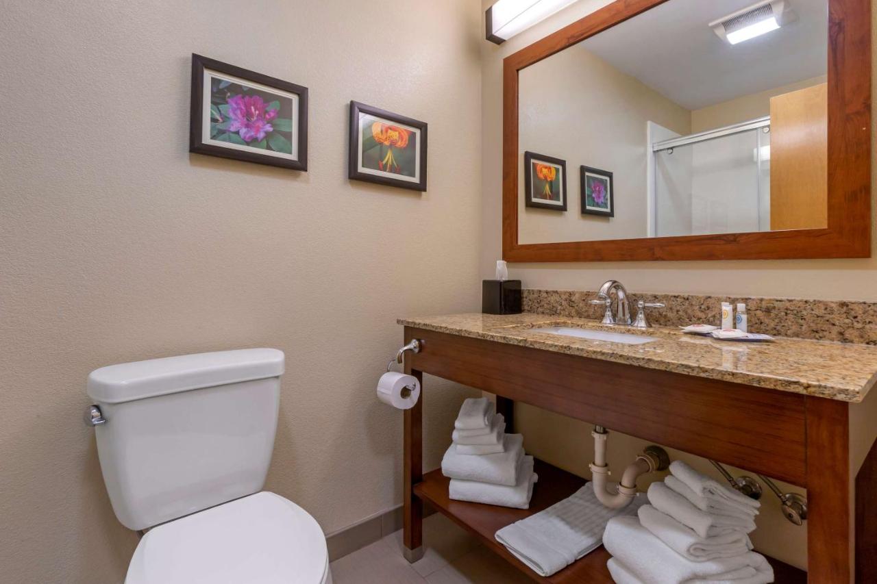 Queen Suite with Two Queen Beds - Non-Smoking at Comfort Suites Boone - University Area