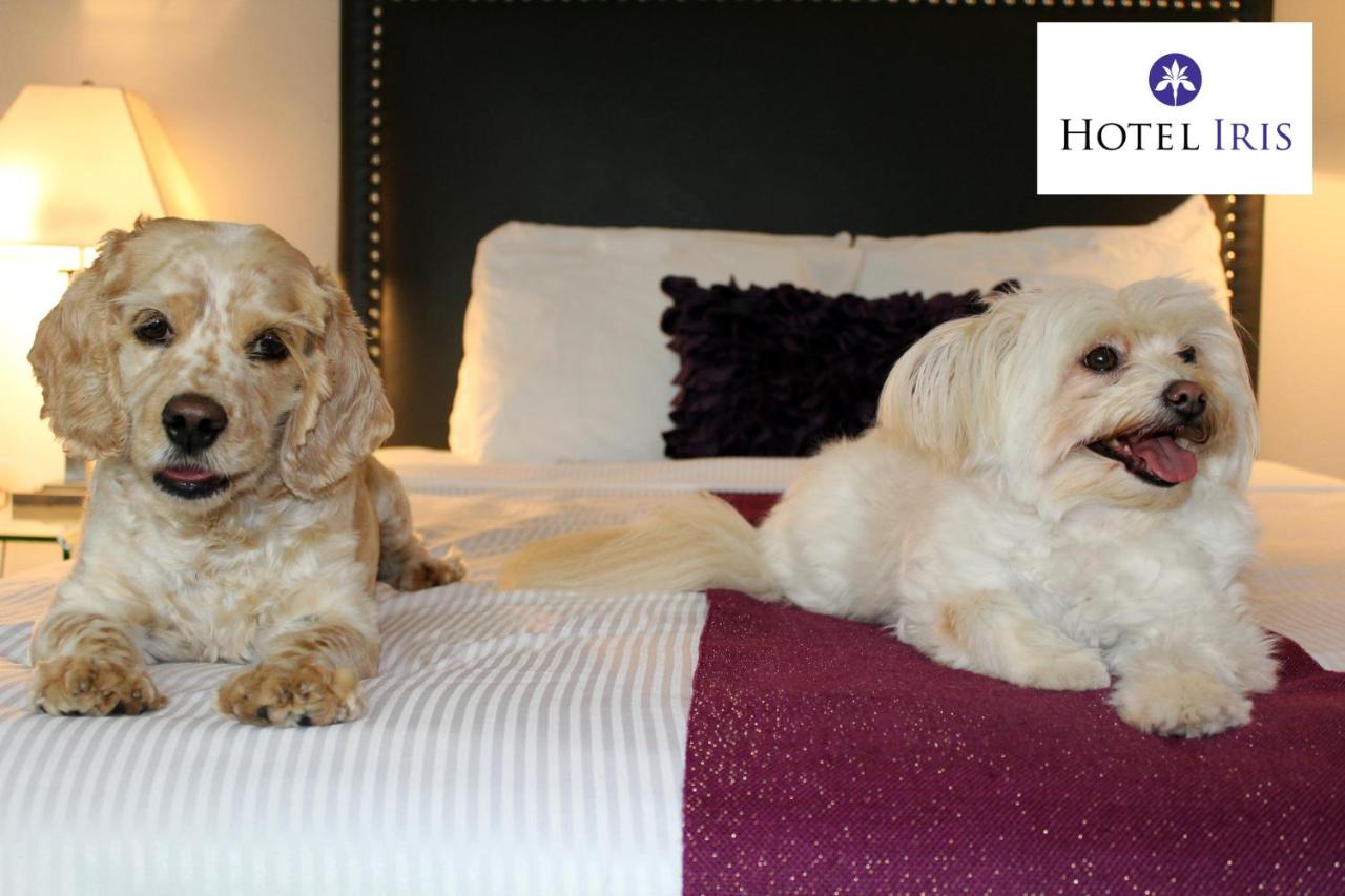 | Hotel Iris - Mission Valley-San Diego Zoo-SeaWorld
