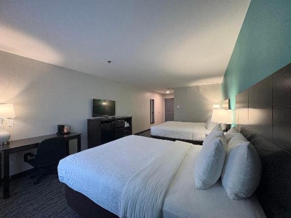 | Quality Inn & Suites