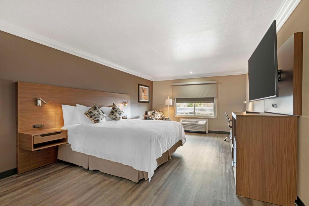 Executive King Room at Best Western Plus Newport Mesa Inn