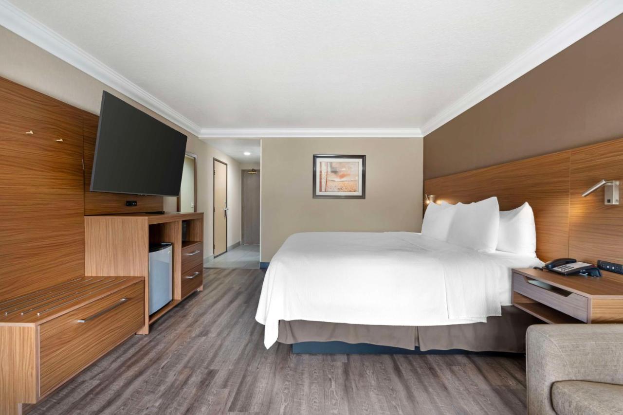 King Room with Sofa Bed at Best Western Plus Newport Mesa Inn