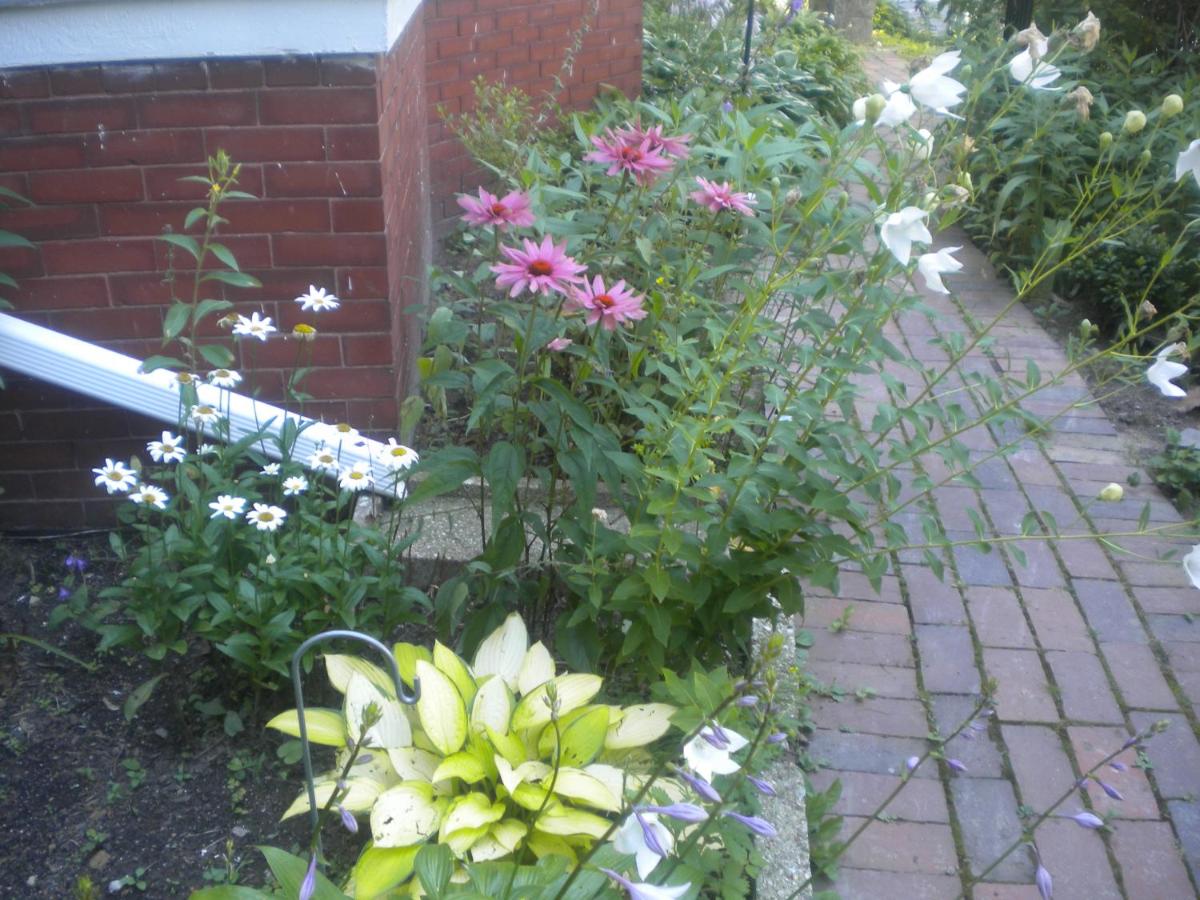 | Fleetwood House Bed and Breakfast