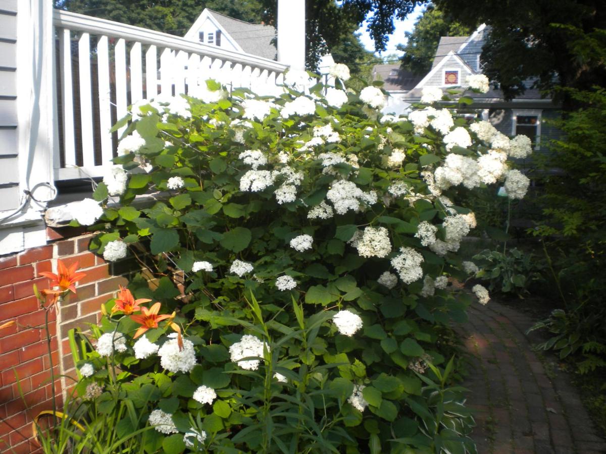 | Fleetwood House Bed and Breakfast