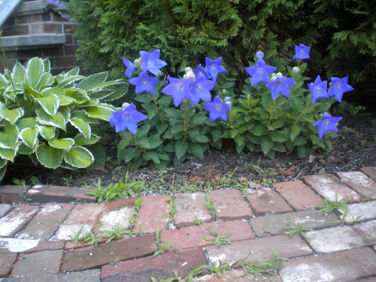 | Fleetwood House Bed and Breakfast