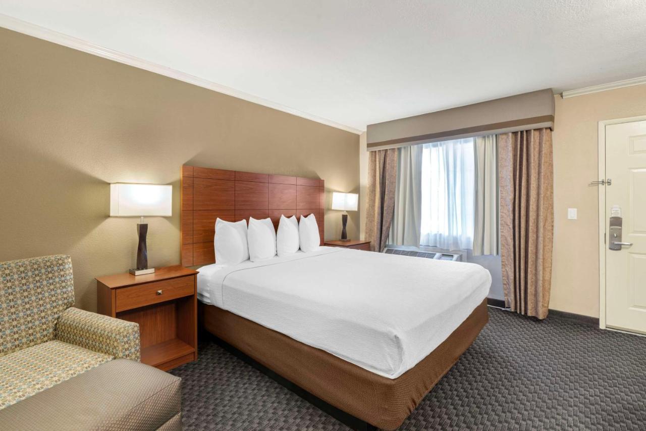 Executive King Room - Non-Smoking at Best Western Oxnard Inn