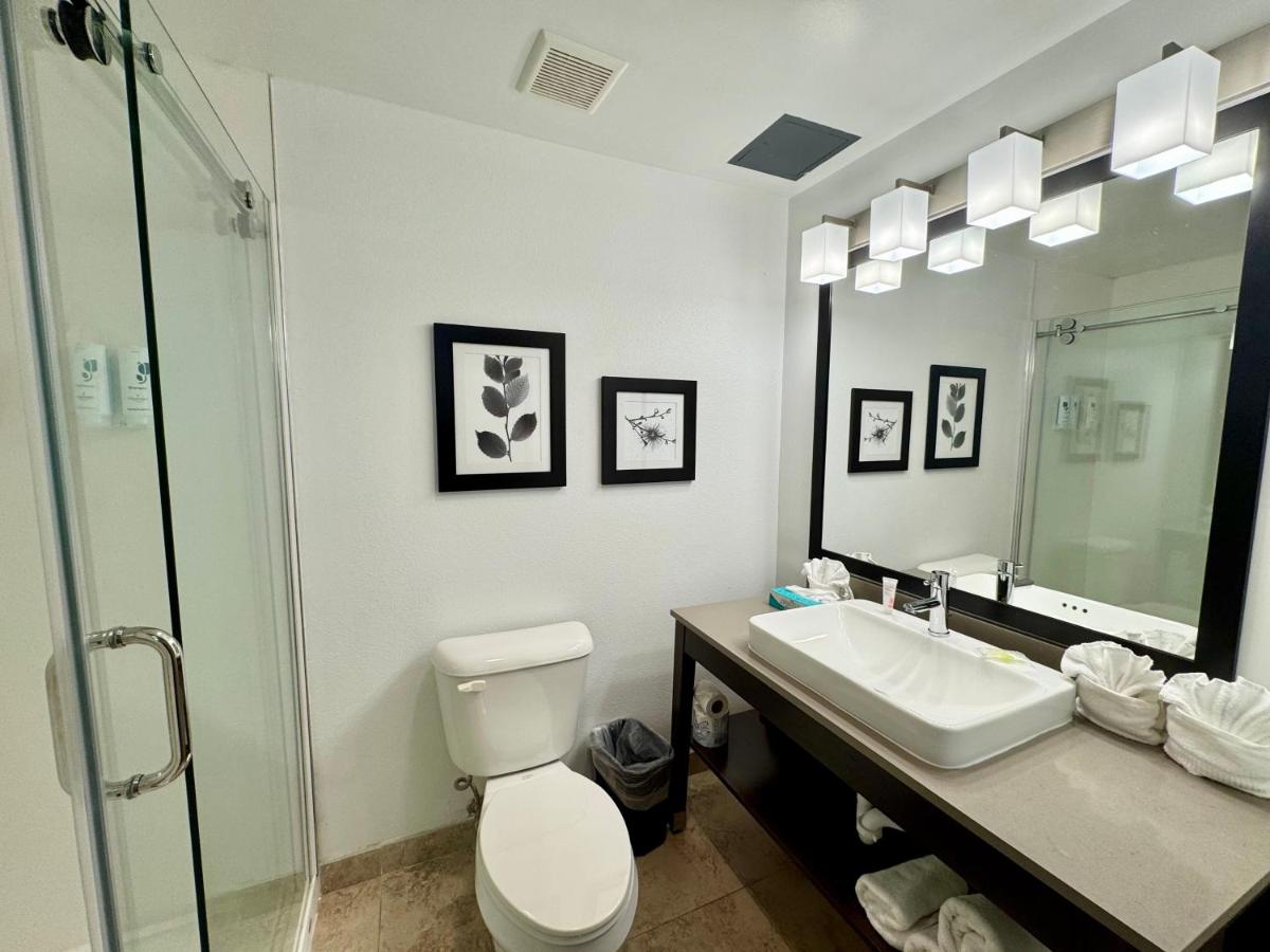 One-Bedroom Suite with Two Queen Beds and Sofa Bed - Non-Smoking at Country Inn & Suites by Radisson, Port Charlotte, FL