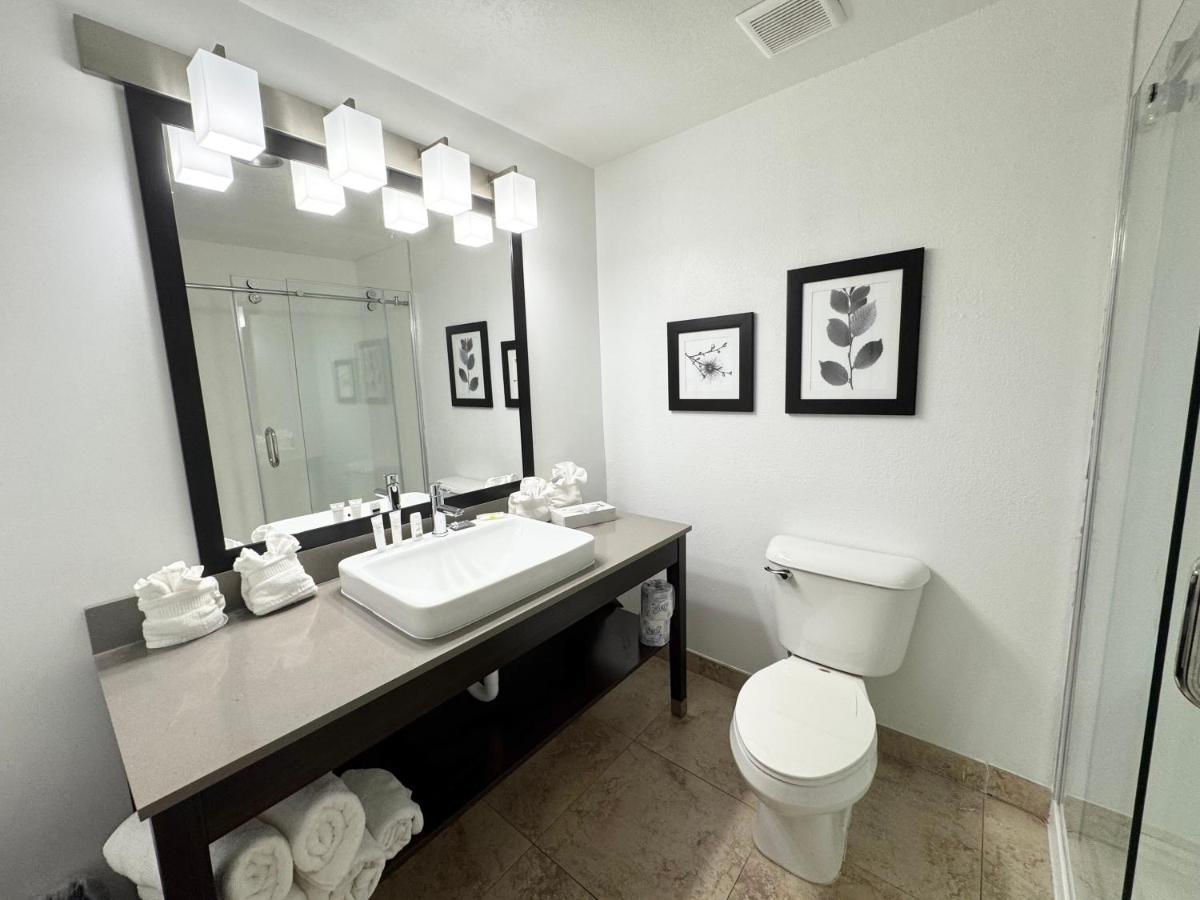 King Room - Non-Smoking at Country Inn & Suites by Radisson, Port Charlotte, FL