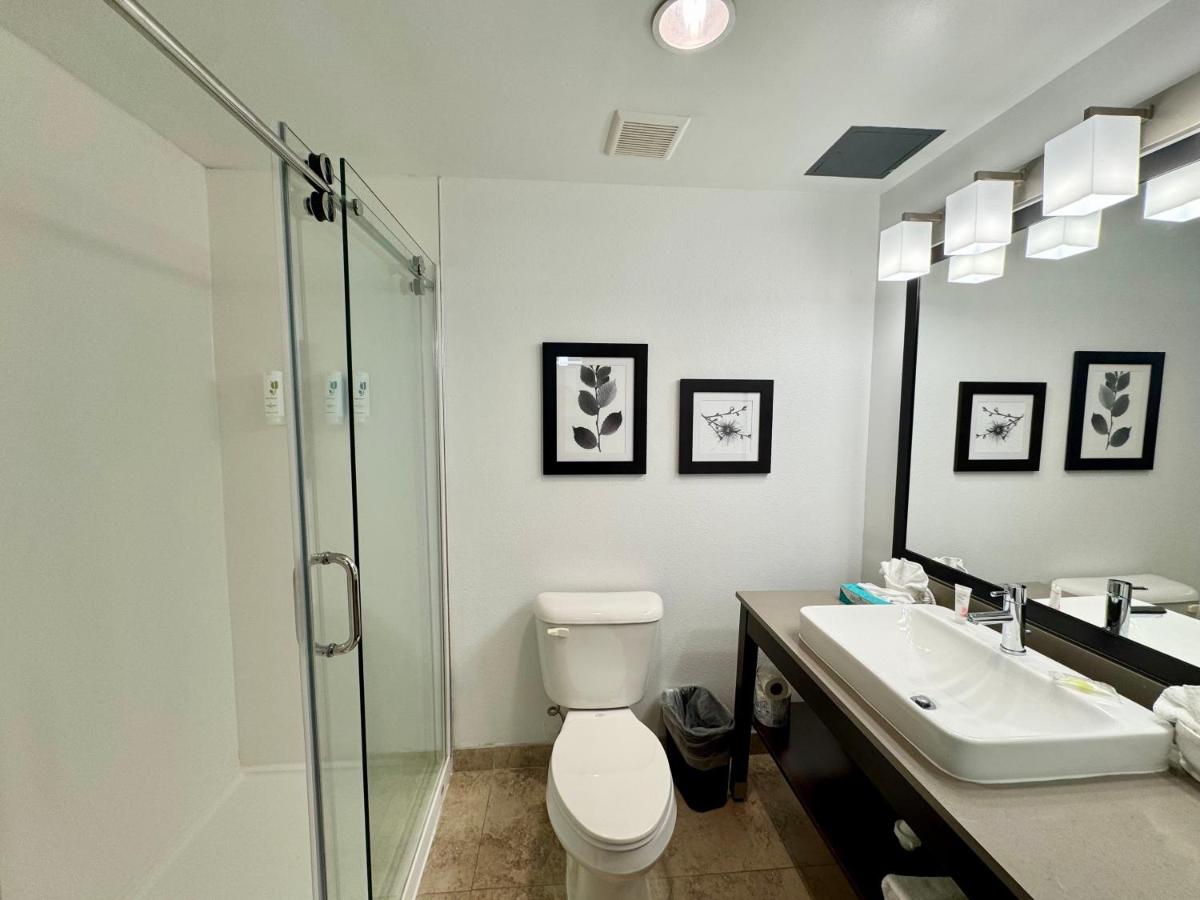 King Room - Non-Smoking at Country Inn & Suites by Radisson, Port Charlotte, FL