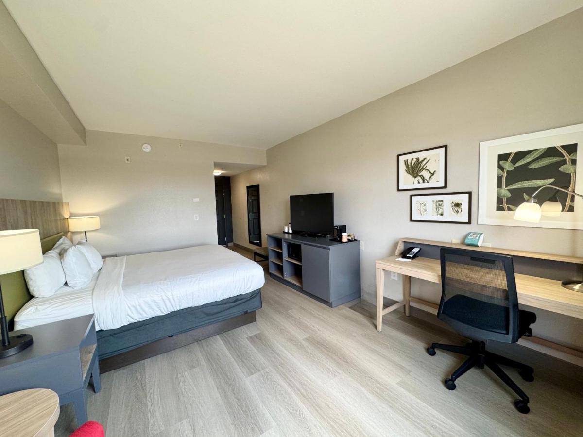 King Room - Non-Smoking at Country Inn & Suites by Radisson, Port Charlotte, FL