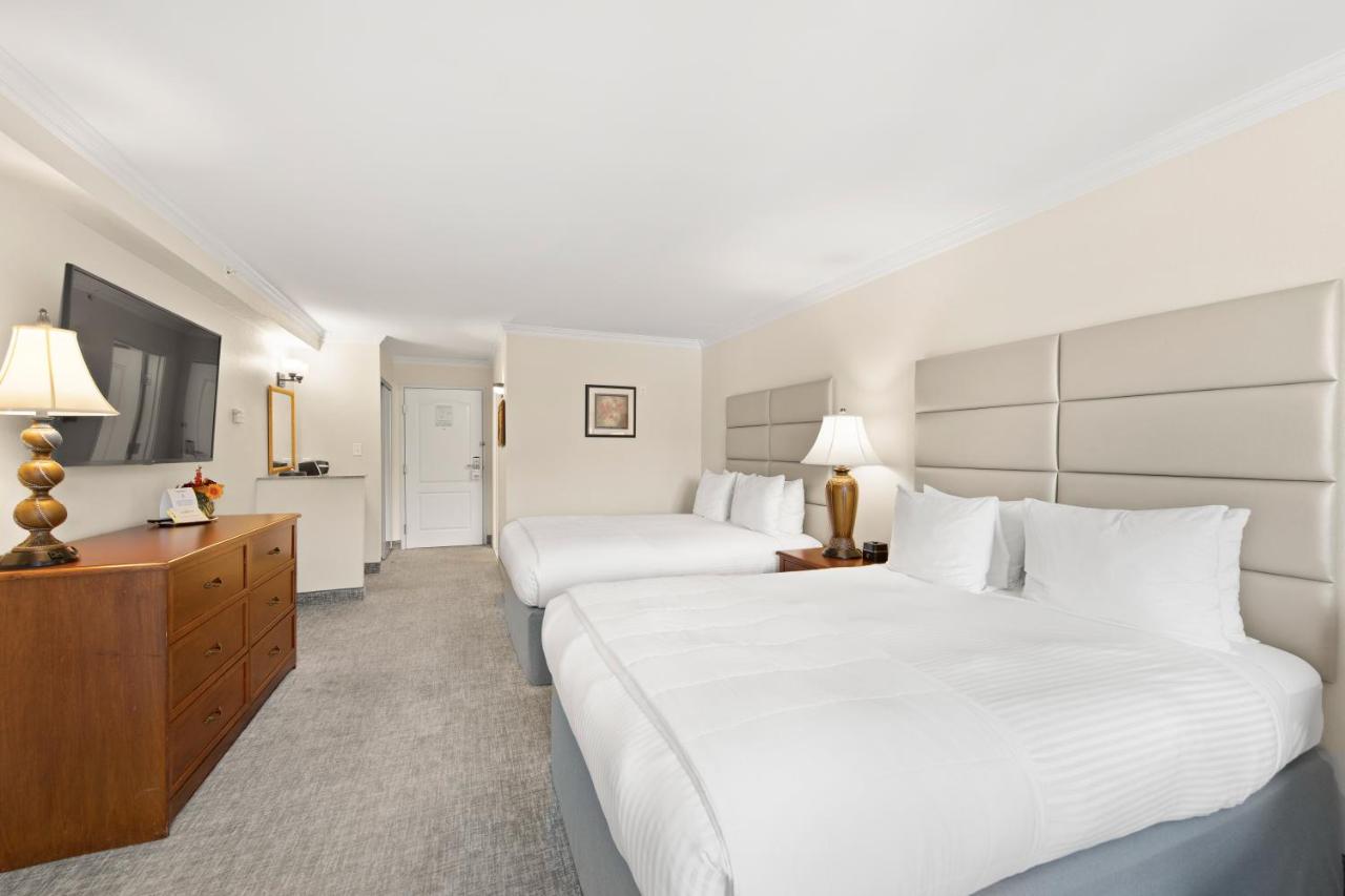Deluxe Queen Room at Hotel Rehoboth