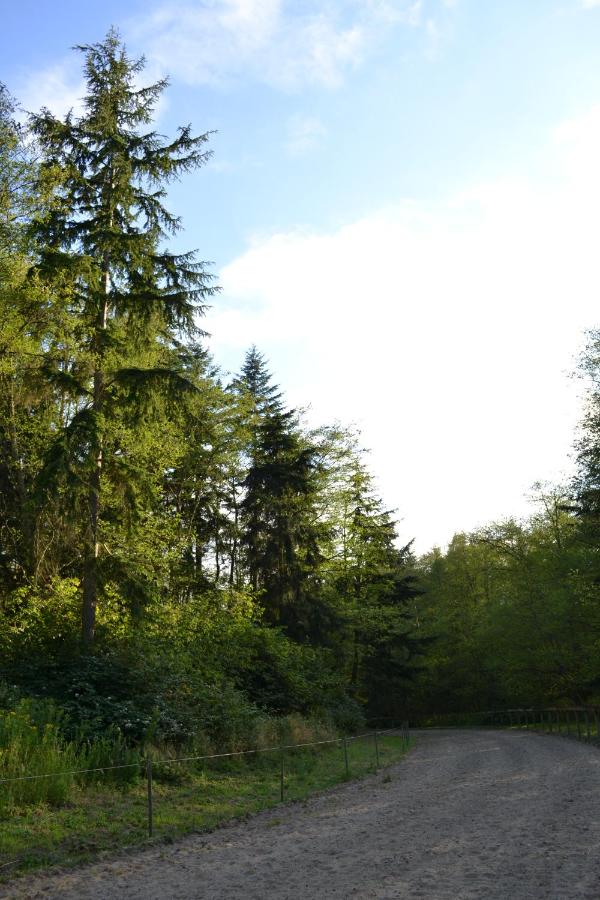 | Wildwood Farm Bed & Breakfast