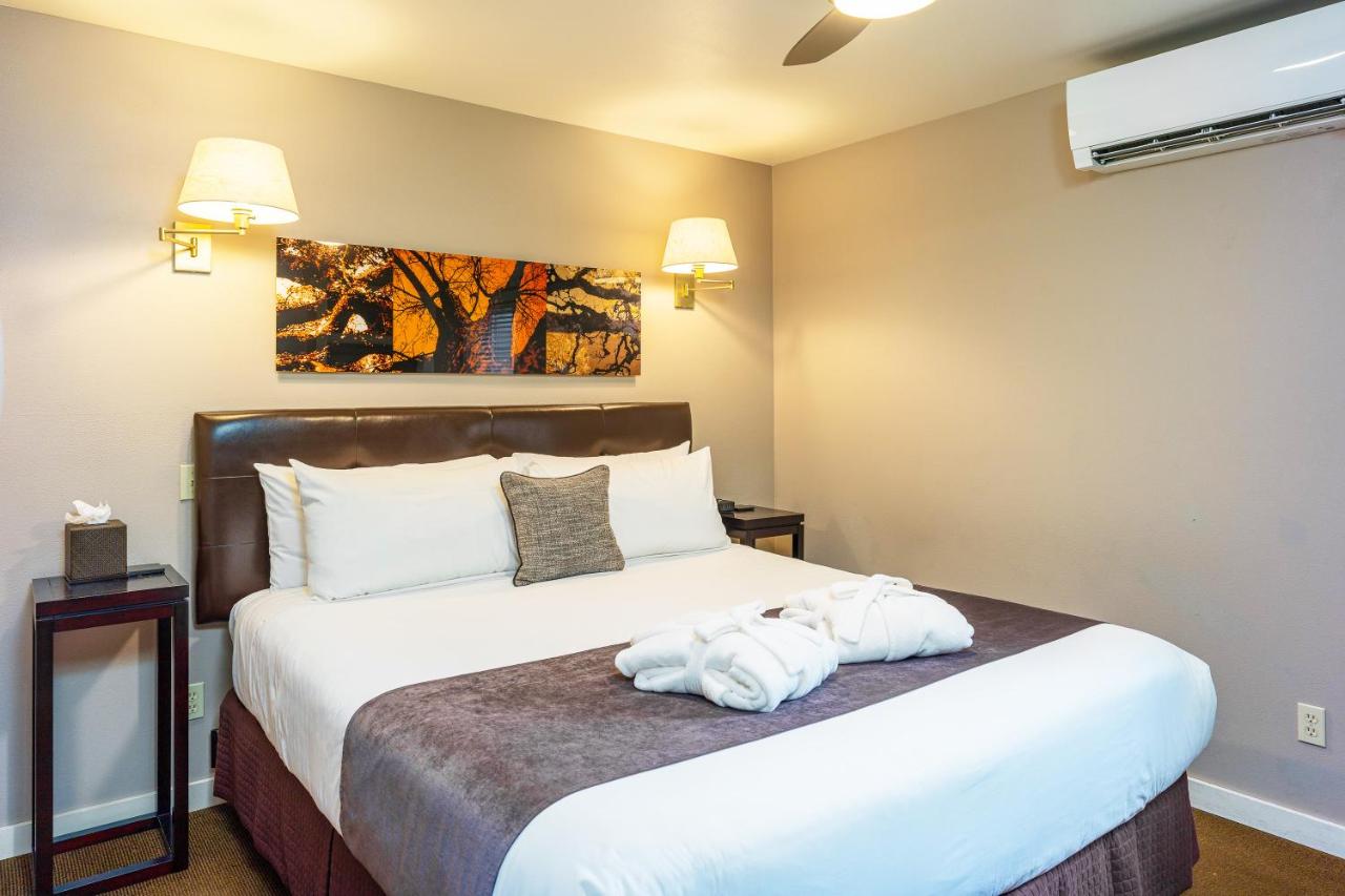| Bird Rock Hotel