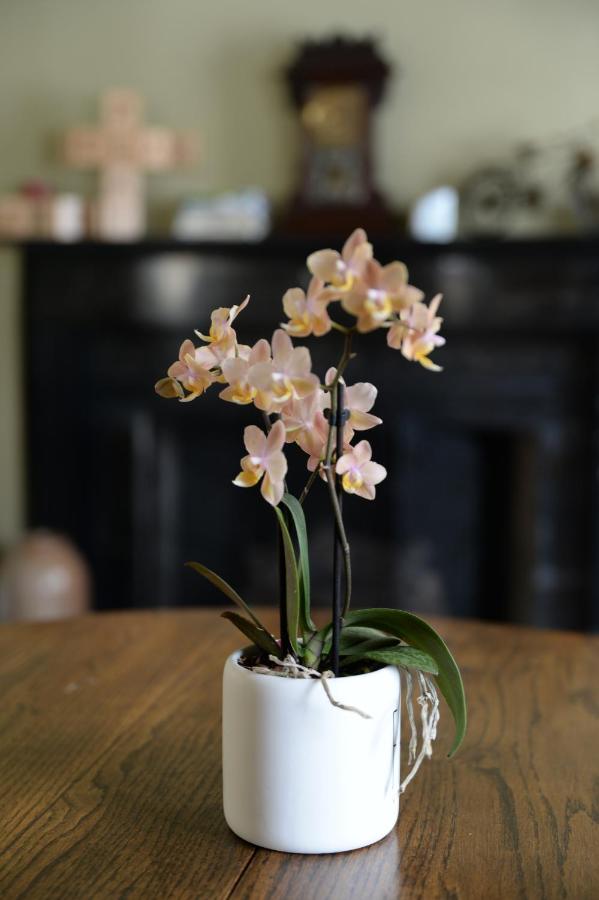 | The Bed and Breakfast at Oliver Phelps
