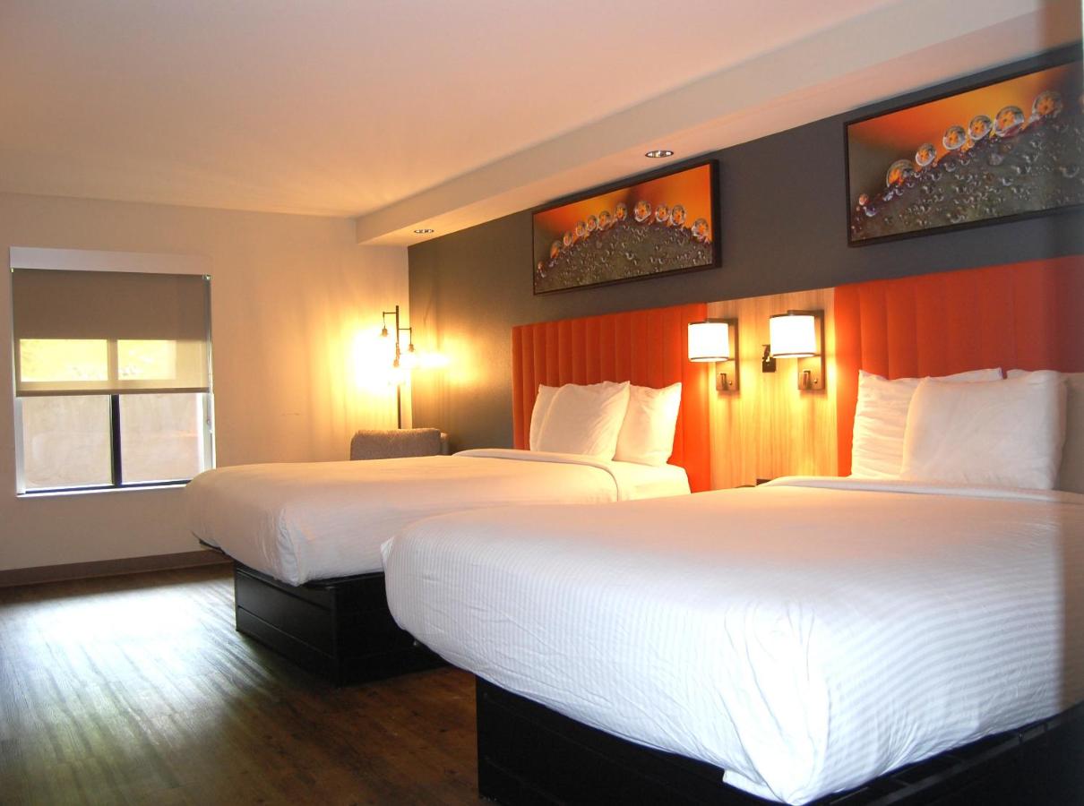 Deluxe Queen Room at Vacation Lodge