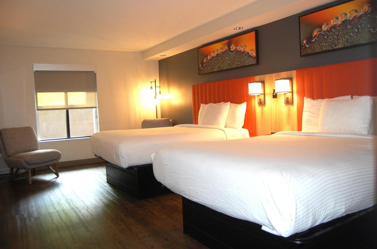 Deluxe Queen Room at Vacation Lodge