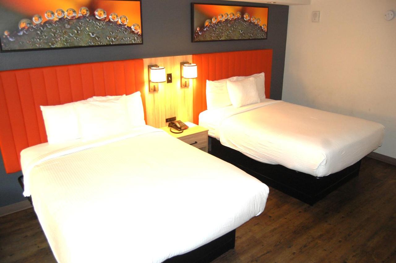 Deluxe Queen Room at Vacation Lodge