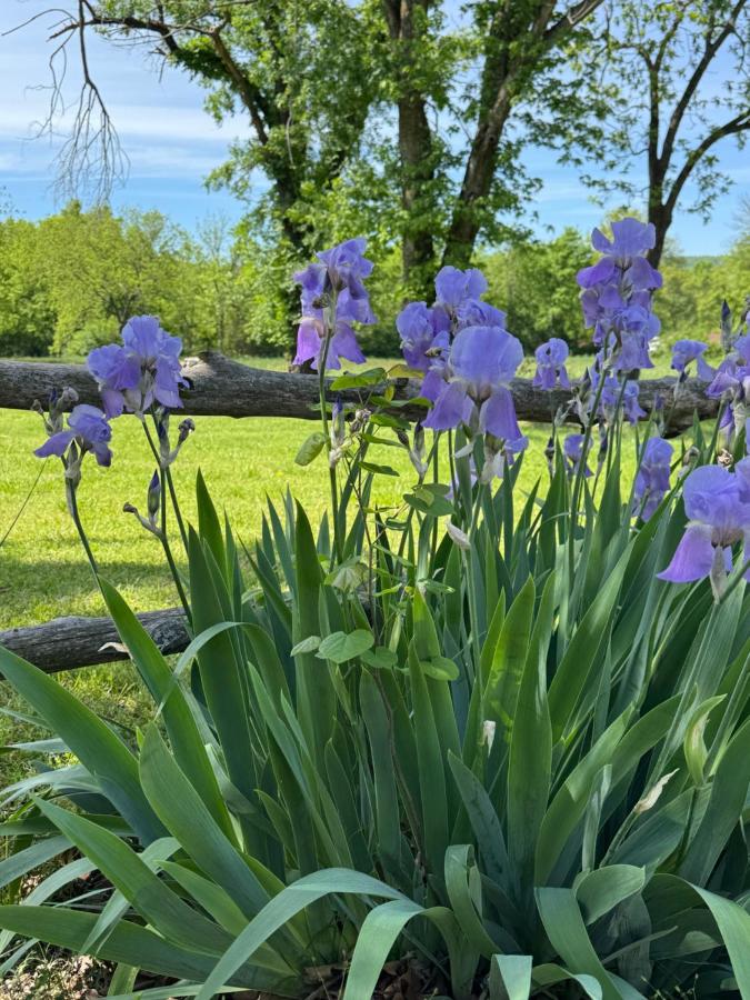 | Ozark Country Inn