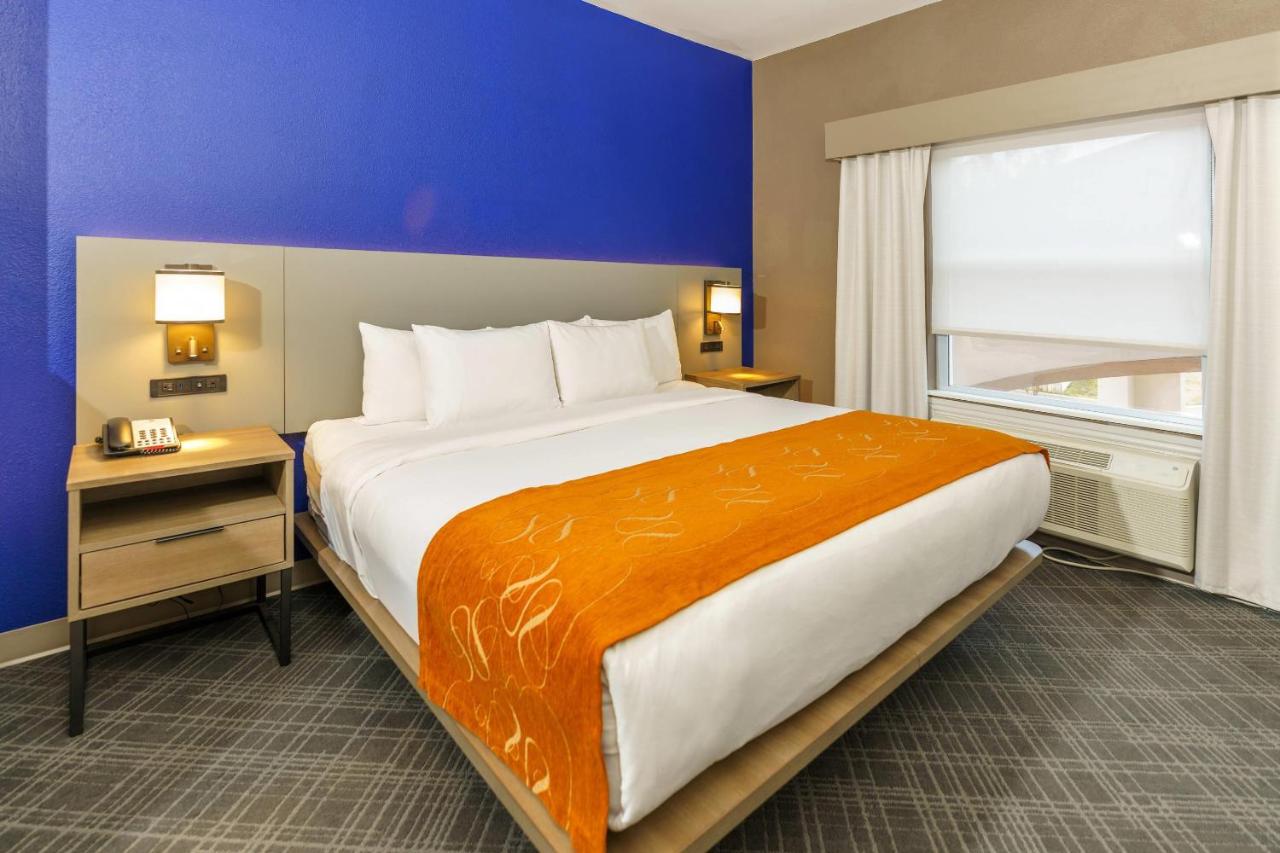 King Suite - Non-Smoking at Comfort Suites University Drive