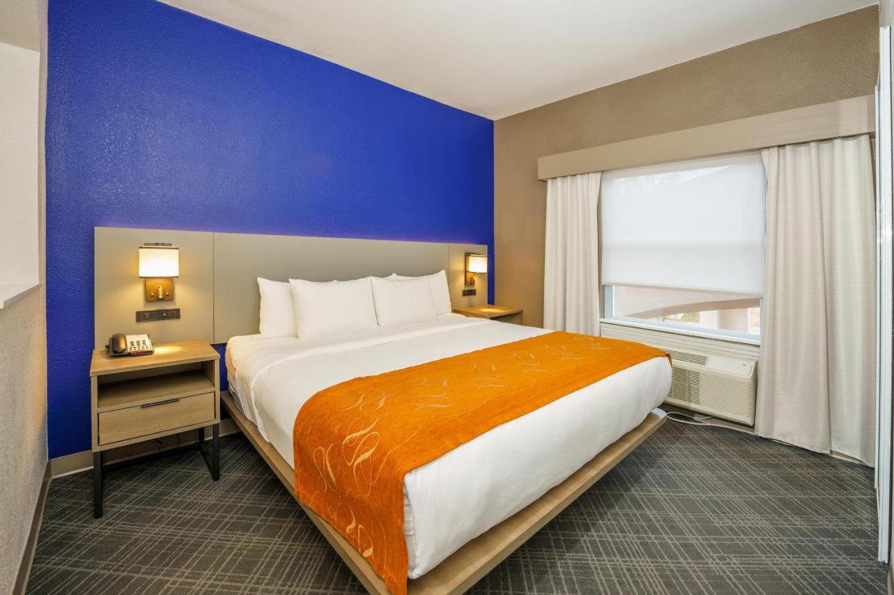 King Suite - Non-Smoking at Comfort Suites University Drive
