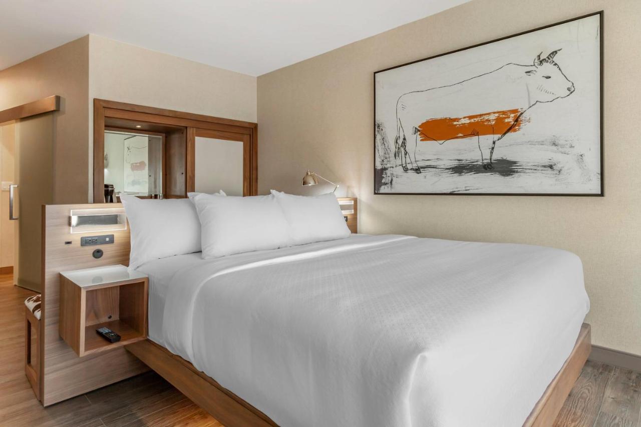 King Room - Non-Smoking at Cambria Hotel Richardson - Dallas