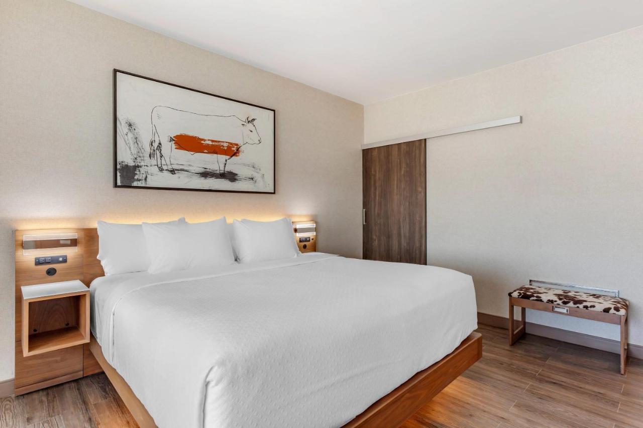 King Suite - Accessible/Non-Smoking at Cambria Hotel Richardson - Dallas