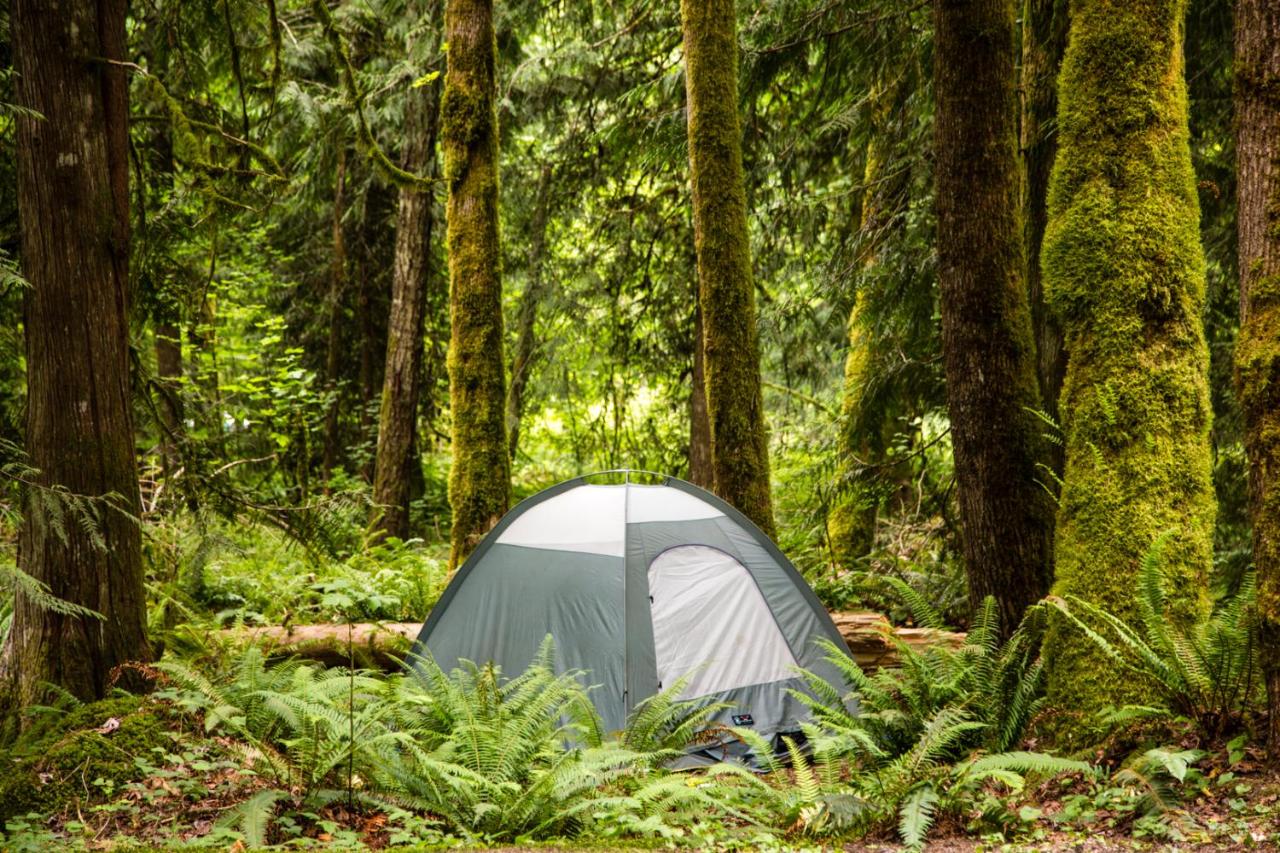 | Mount Hood Village Yurt 1