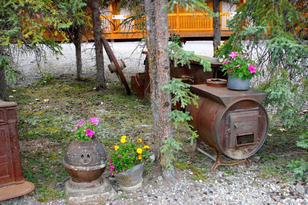 | Denali Grizzly Bear Resort